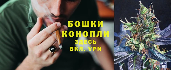 spice Алексеевка