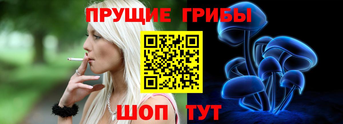 Галлюциногенные грибы прущие грибы  Вход с VPN  Шуя 