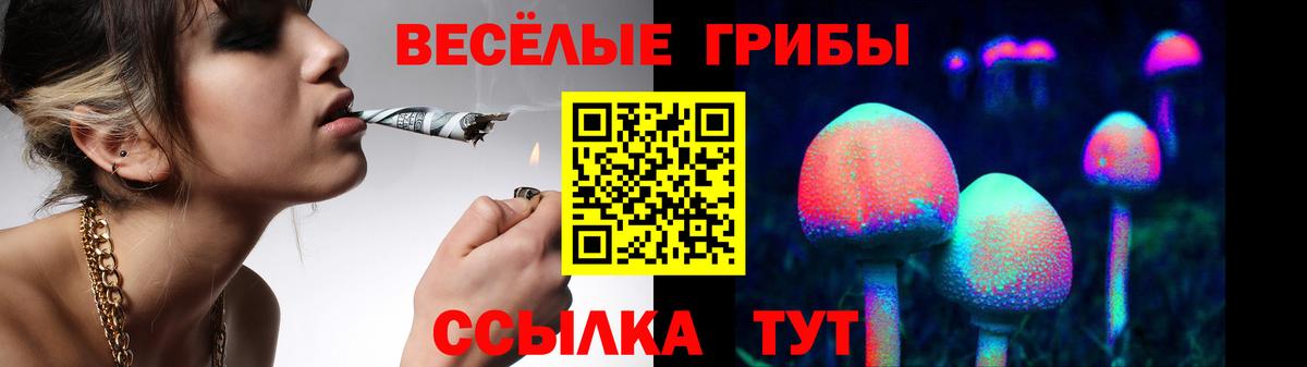 Псилоцибиновые грибы ЛСД Шуя